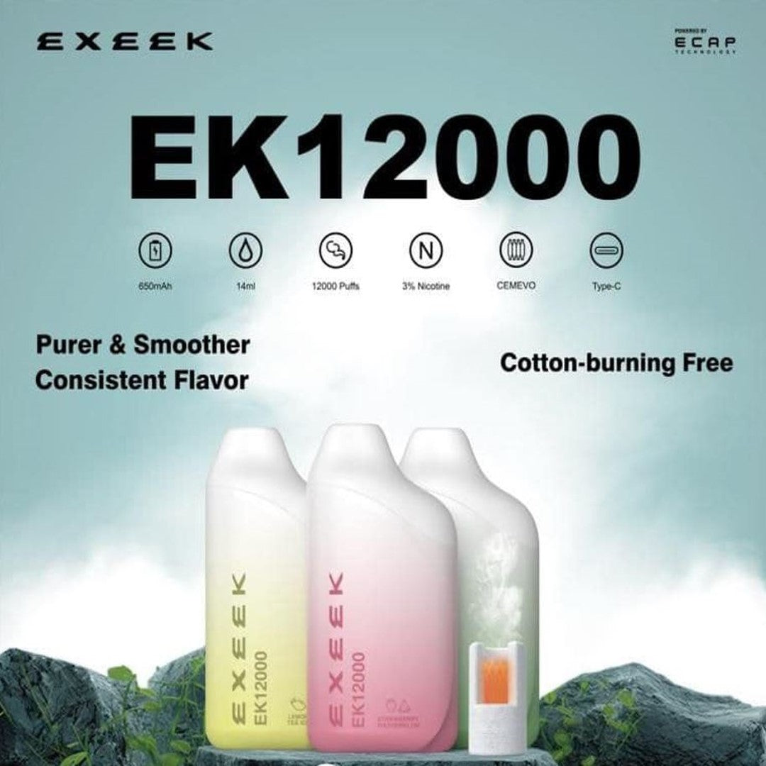 EXEEK EK 12000 RECHARGEABLE DISPOSABLE