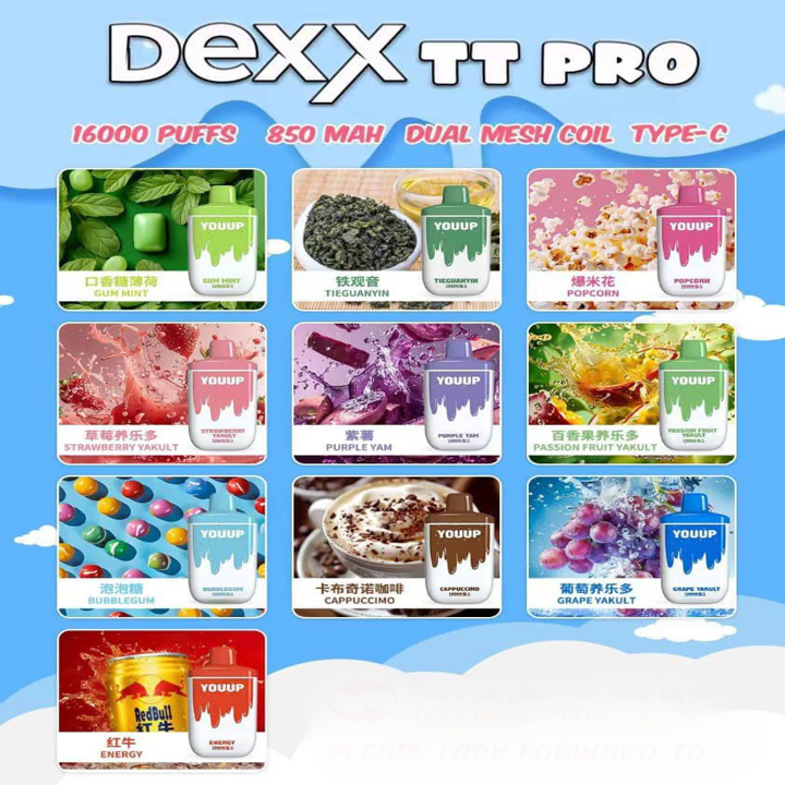 DEXX TT PRO 16000 RECHARGEABLE DISPOSABLE