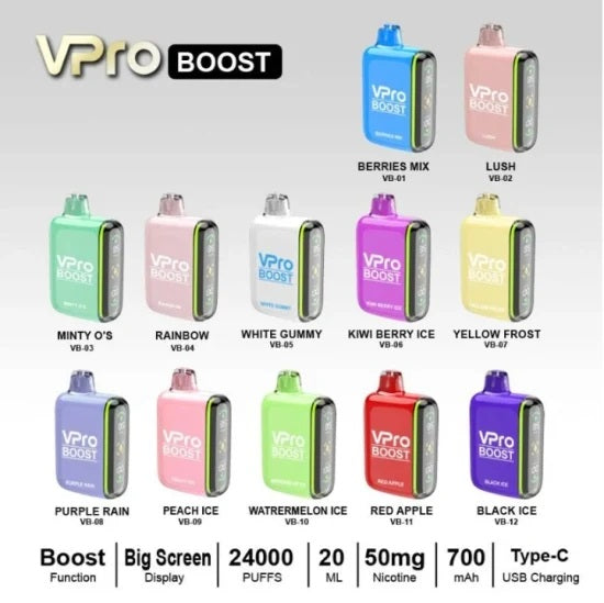 VPRO BOOST 24000 RECHARGEABLE DISPOSABLE