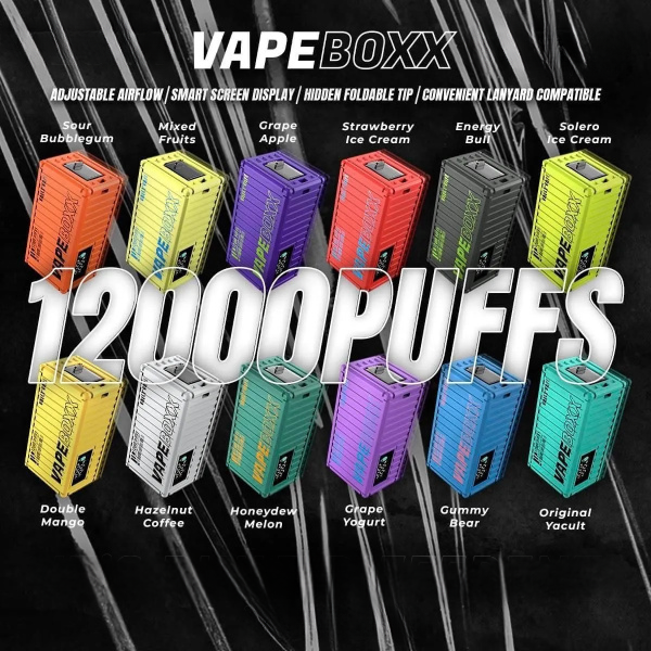 VAPEBOXX 12000 RECHARGEABLE DISPOSABLE